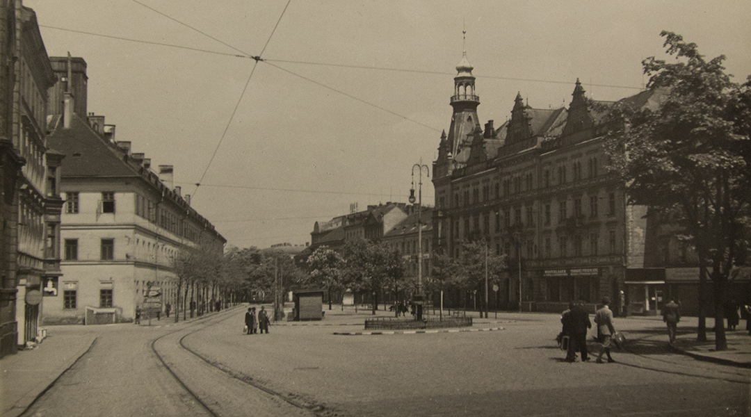 1949_sady_petatricatniku_1080_600